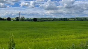 Plot with PP for sale in Cleghorn photo